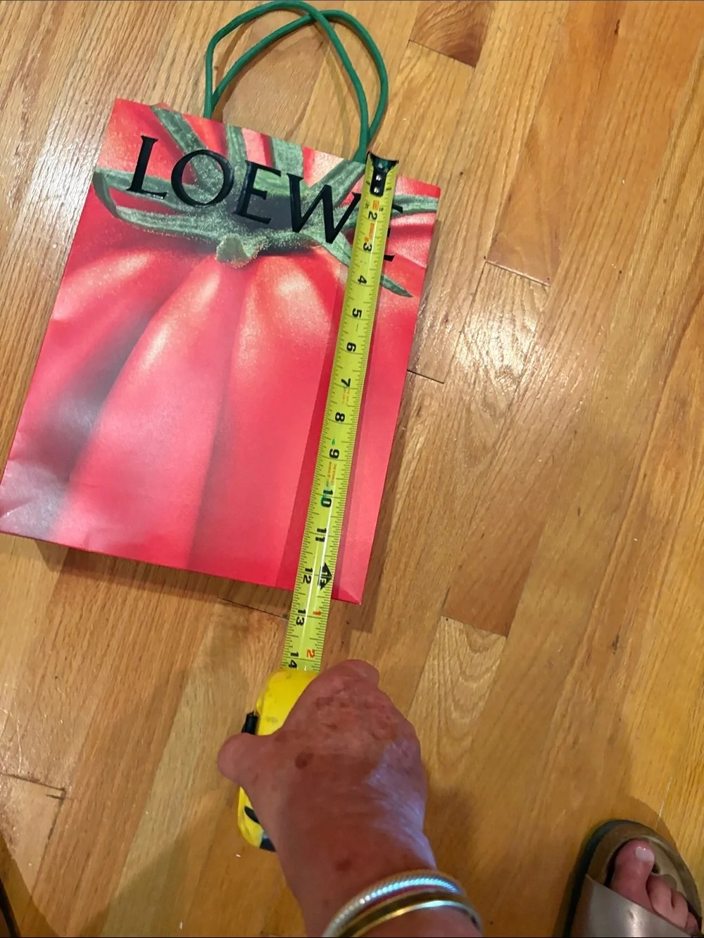 Loewe Red Tomato Graphic Gift Bag with Green Handles